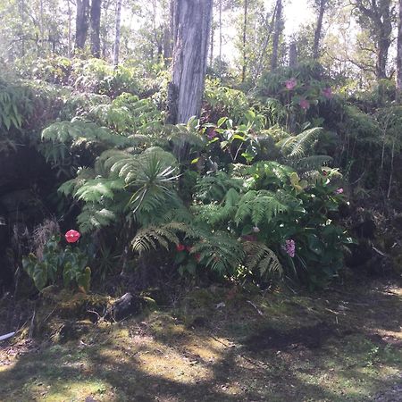 Simply Convenient Tropical Country Studio Mountain View Exterior photo